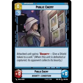 068 - Public Enemy - Upgrade