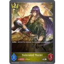 027- Twinsword Master