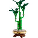 LEGO Botanicals - 10344 Glücks-Bambus
