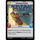 254 - Volunteer Soldier - Unit
