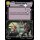 238 - Merciless Contest - Event - Foil