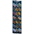 Chrono Core TCG: Backerpack