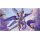 Dragon Shield: The Whiskerwing - Playmat + Tube