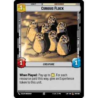 255 - Curious Flock - Unit