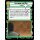 605 - Following the Path - Event - Foil