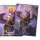 Dragon Shield: Brushed Art Sleeves - The Dragowlis (100 Sleeves)