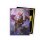 Dragon Shield: Brushed Art Sleeves - The Dragowlis (100 Sleeves)