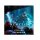 Nemesis: Retaliation - Expansion - The Xyrians - EN