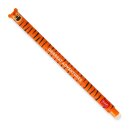 Legami: Erasable Pen - Grrreat Adventure - Orange Ink
